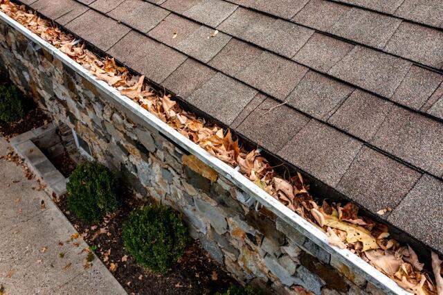 Why You Should Install Gutter Guards Before Spring