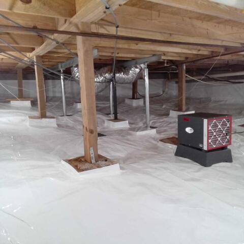 How To Eliminate Mold in Your Home - Image 4