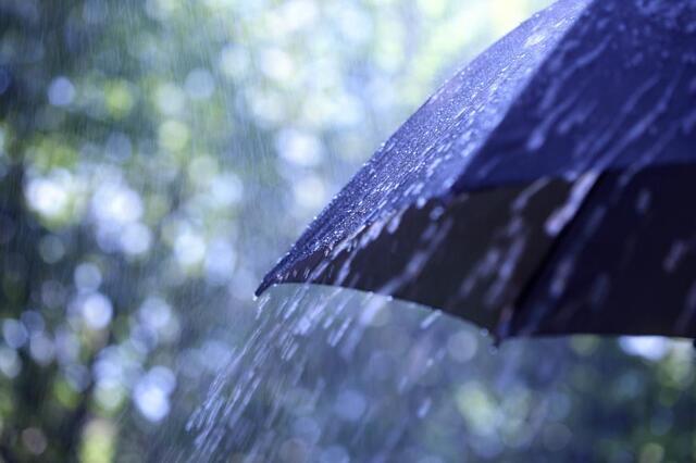 How to Prepare Your Home for Georgia's Wet Season