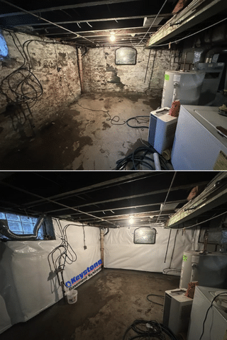 When Water Damage Turns to Mold: Protecting Your Basement and Health