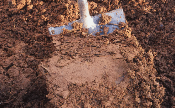 Clay Soil and Foundation Damage Explained