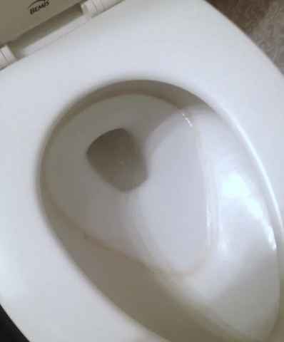 Why You\'re Seeing Pink or Black Buildup Around Your Water Fixtures in Ohio - Image 2