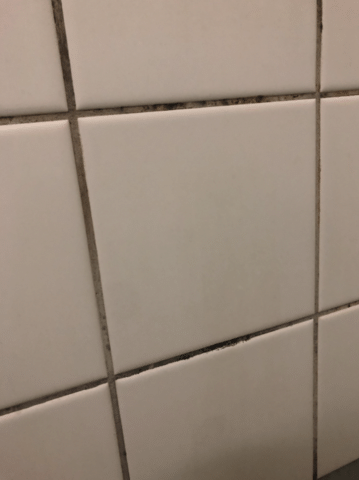 Why You're Seeing Pink or Black Buildup Around Your Water Fixtures in Ohio