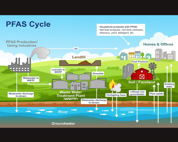 Understanding PFAS in Drinking Water: Health Risks & Solutions for Central ...