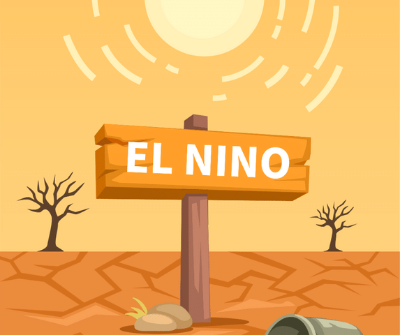 What Does El Niño Mean for Your Florida Home?