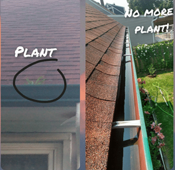 A Good Looking Gutter System