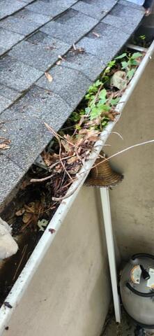 5 SIGNS IT'S TIME TO REPLACE YOUR GUTTERS