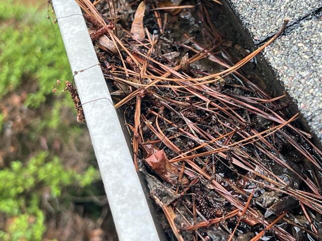 Don't Let Clogged Gutters Fall into Your Fall Season in Alpharetta, GA