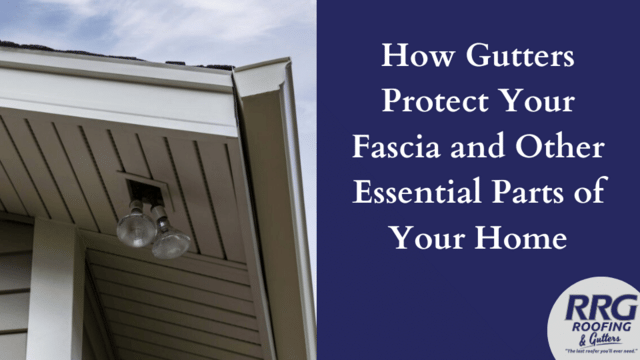 How Gutters Protect Your Fascia and Other Essential Parts of Your Home