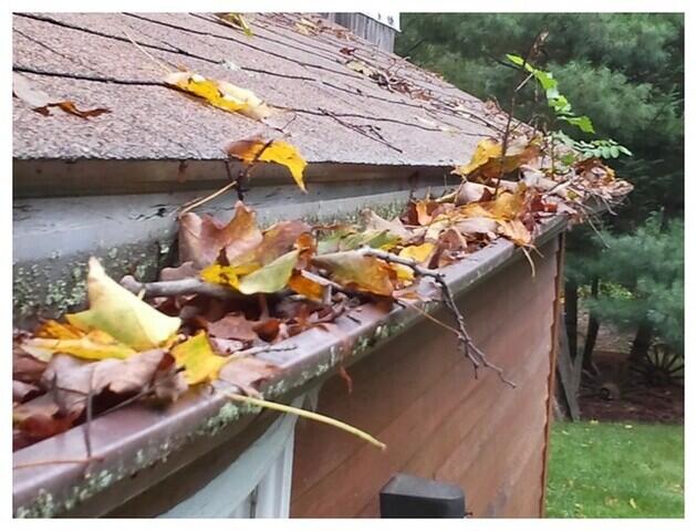 Spring Gutter Prep 101: Prevent Water Damage Before the Rain Starts - Image 2