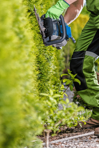 Landscaping 101: The First Line of Defense Against Basement Flooding