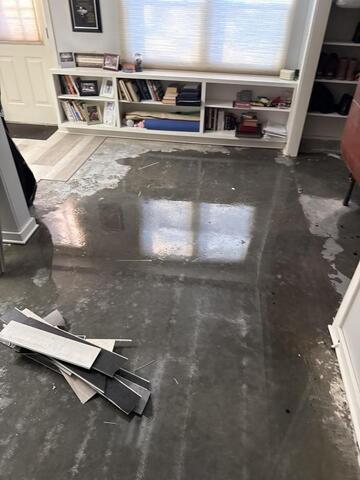 Water Loss to Mold Growth: Why Immediate Response Matters