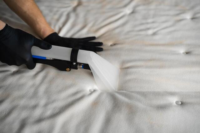 Mattress Cleaning: An Overlooked but Important Component of A Clean Healthy...