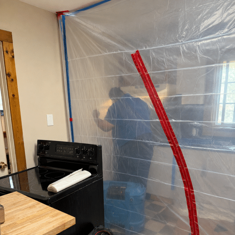 Control, Treat, and Remove: How the HEPA Sandwich Fits Into Mold Remediatio...