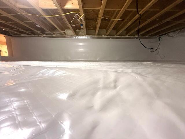 Mold in Your Home? Don't Ignore the Warning Signs