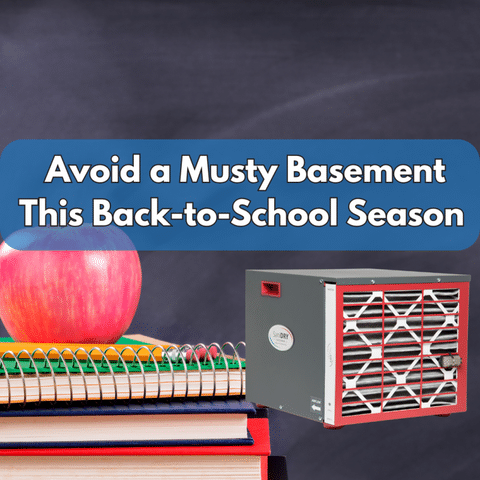 Avoid a Musty Basement This Back-to-School Season