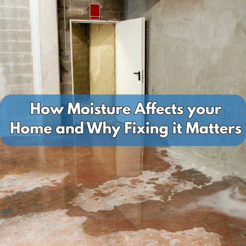 How Moisture Affects your Home and Why Fixing it Matters