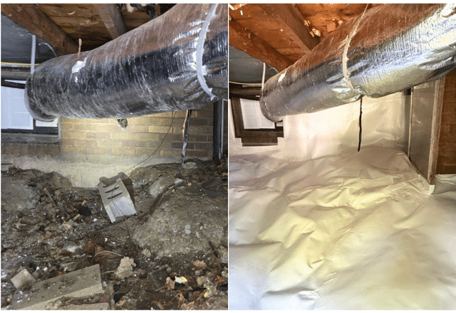 Mold in Your Home? Don\'t Ignore the Warning Signs - Image 2