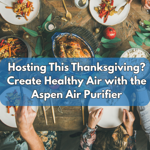Hosting This Thanksgiving? Create Healthy Air with the Aspen Air Purifier
