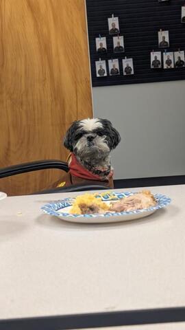 Thanksgiving Potluck - Image 2