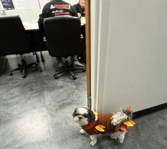 Thanksgiving Potluck - Image 3