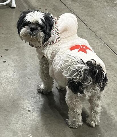 Christmas Party 2025 - Image 1