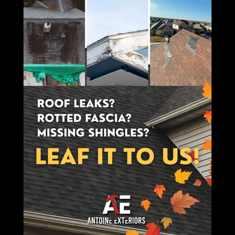 Roof Leaks, Rotted Fascia or Missing Shingles? Get Your Home Ready for Winter! 🍂