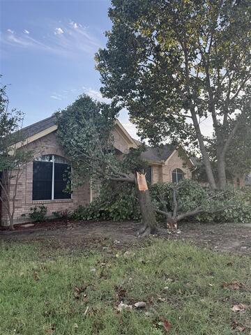 Drone Inspection After a Tree Falls on Your Roof