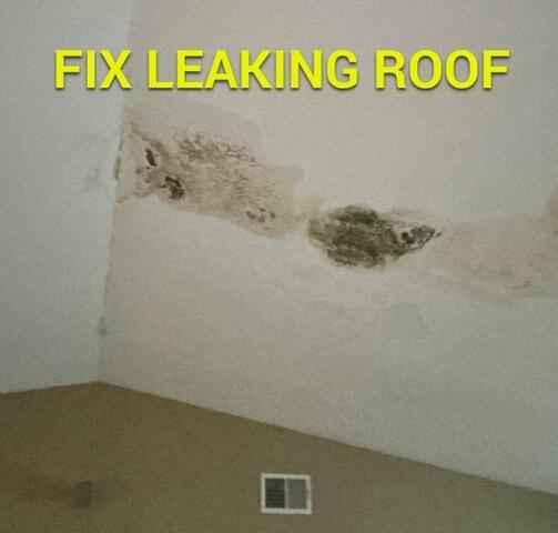 Fixing a Leaky Roof: What Homeowners Should Know (and When to Call a Professional) - Image 1