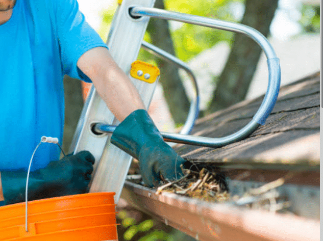 6 Roof Maintenance Tips So You Don't Have to Hire a Roofer (New Braunfels E...