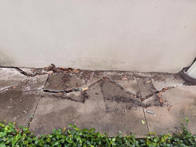 Those Cracks Aren't Just Ugly - They're a Warning Sign (And Here's the Fix)