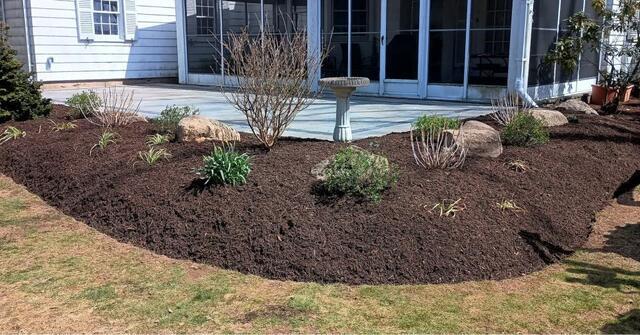 Turn Your Backyard Dreams Into Reality Without Breaking the Bank!