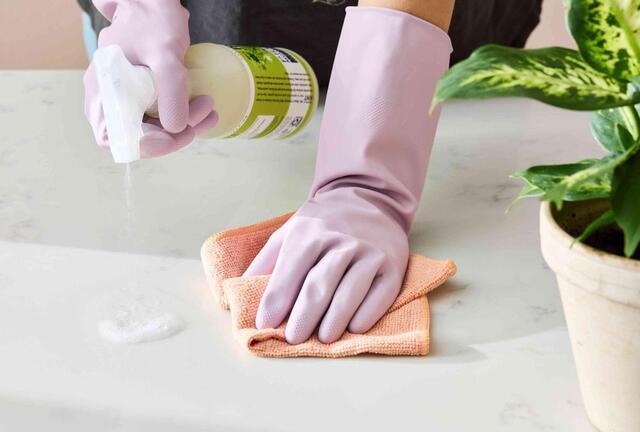 The Rise of Biotic Cleaning: Why Prebiotics and Probiotics Are Changing the...