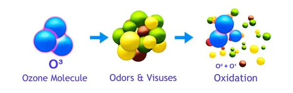 The Power of Ozone
