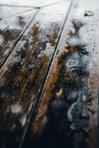 How Long Can You Let Mold Sit in Your Home?