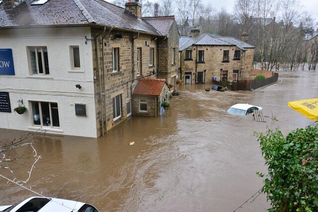 How a Water Restoration Team Helps Your Home After a Flood