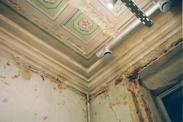 How Mold Can Affect Your Home
