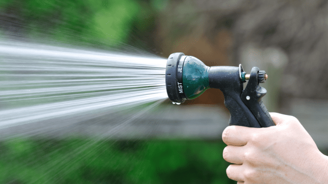 How to Identify and Remove Mildew from Your Homes Siding