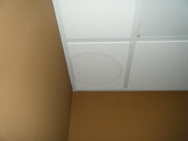 Mold Remediation Due to...