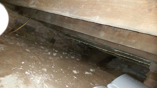 Picture of the dirt floor crawl space before we began working.