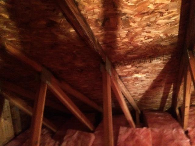 Attic after mitigation