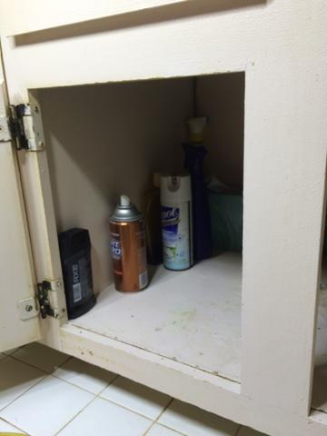 Under Sink After