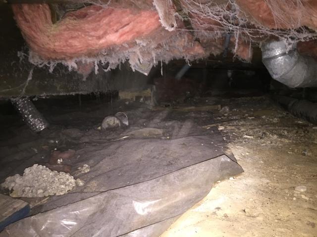 Look how nasty this crawl space was... we uncovered a ton of issues related to the lack of heat and comfort.