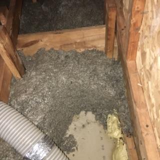 The existing insulation was heavy and was soaked with rodent urine and fecal matter!  Eeeewwwww!!!