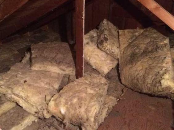 Cottage Grove, OR Attic...