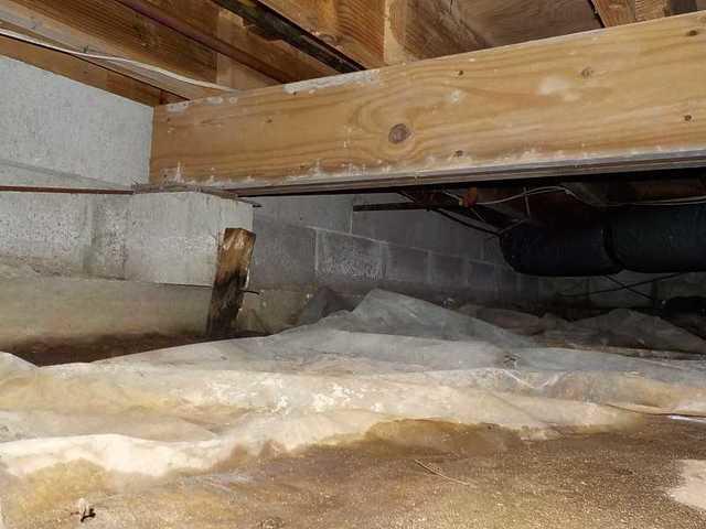 Standing water make this crawl space moldy and musty.