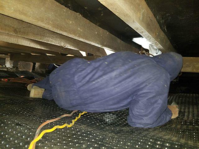 A Comfenergy production crew member installing dimple matting.  This product allows the dirt floor to dry out under the vapor barrier if it ever got wet.  Plus, it protects the CleanSpace vapor barrier from punctures which could ruin the barrier.