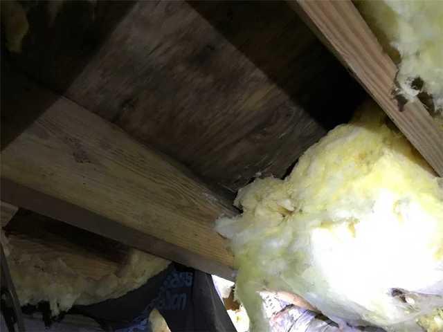 Microbial growth on the subfloor in the crawl space.