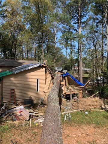 Second tree down over the already tarped roof