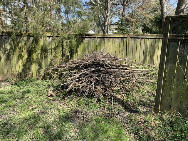 Yard debris has been piled up for removal.